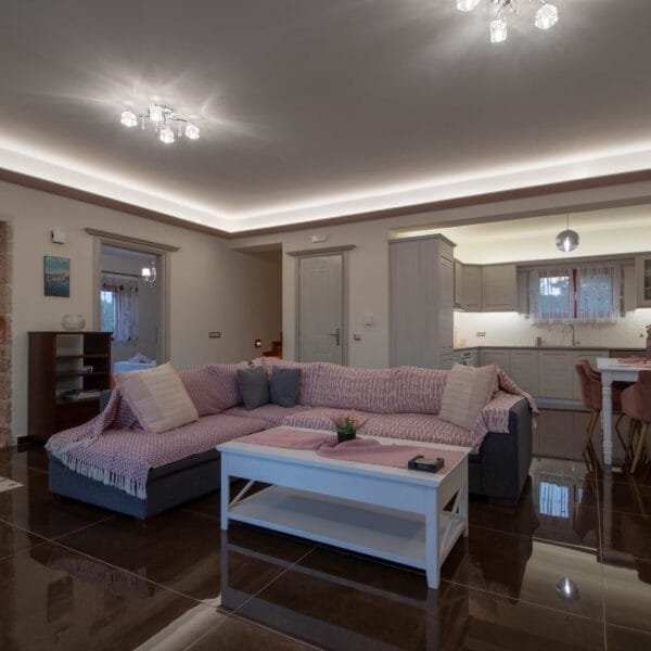 agro luxury villa (16)