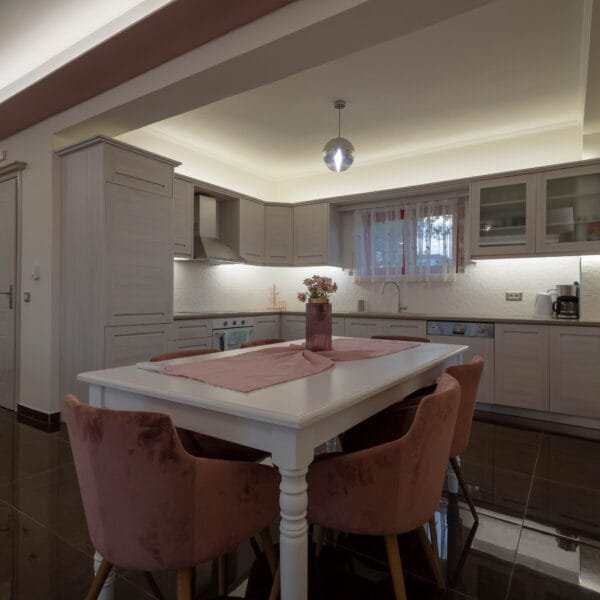 agro luxury villa (17)