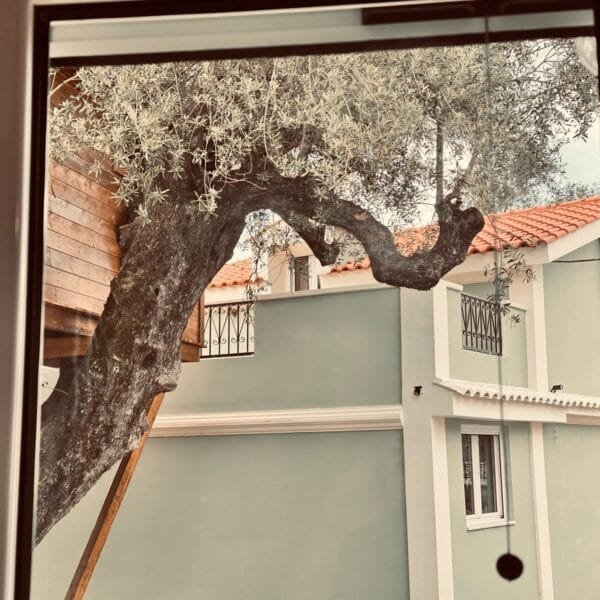 elea villas photos (15)