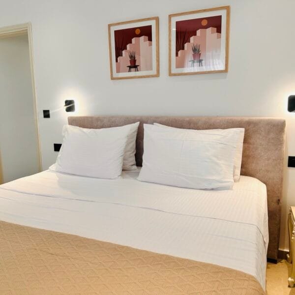 mira premium house (41)