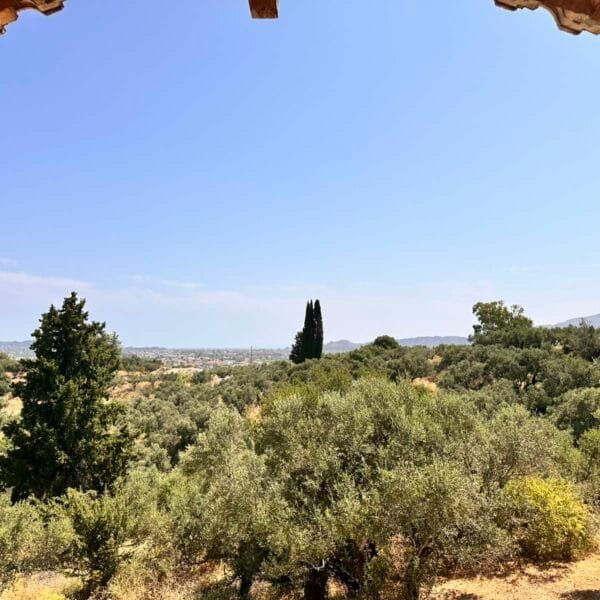 εικόνα_Viber_2025-06-20_11-48-17-328