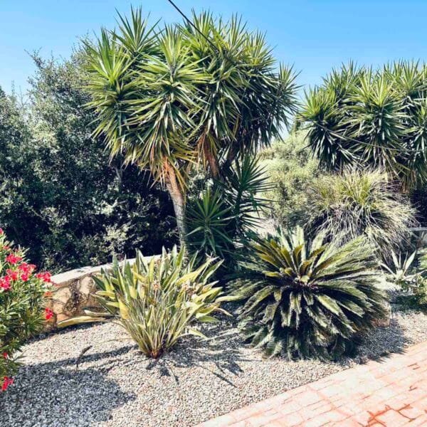 HESTIA PHOTOS (18)